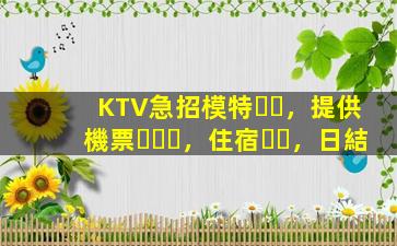 KTV急招模特，提供機票，住宿，日結